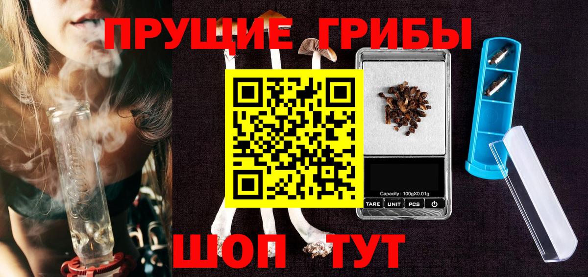 Псилоцибиновые грибы Psilocybe Орехово-Зуево