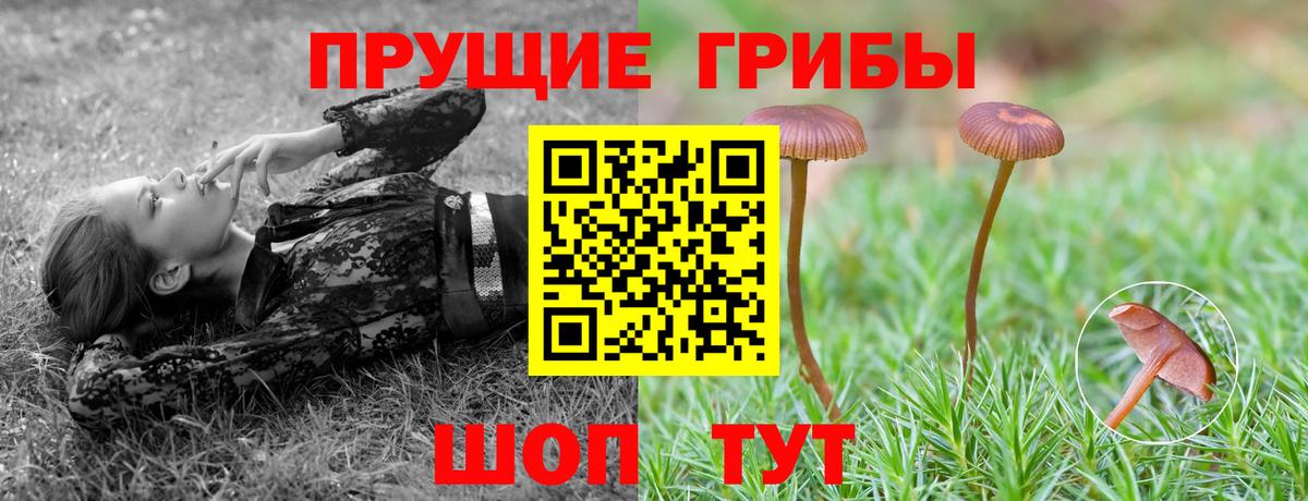 Орехово-Зуево  Псилоцибиновые грибы прущие грибы  Вход с VPN 